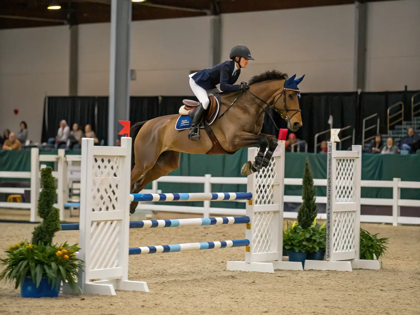 A close-up shot of a rider's focused expression as they prepare for a jump, emphasizing the dedication and precision required in show jumping.