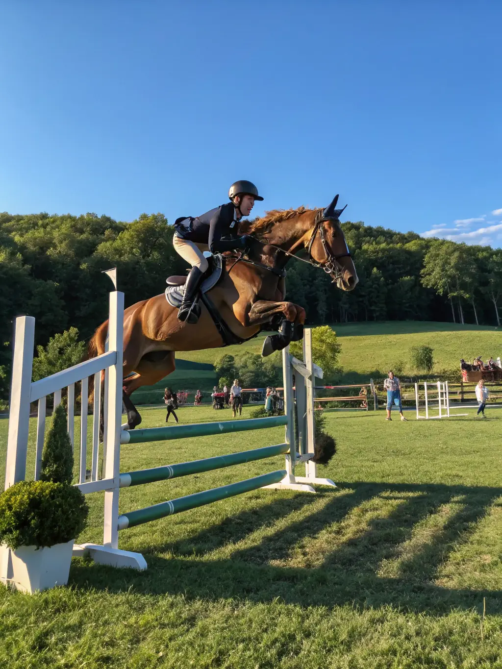 Spectators enjoying a show jumping event at CONCOURS HIPPIQUE LA ROCHEFOUCAULD, capturing the excitement and atmosphere of the competition.