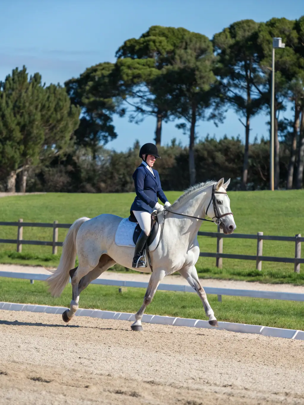 A group of riders participating in a dressage clinic at CONCOURS HIPPIQUE LA ROCHEFOUCAULD, emphasizing the importance of horsemanship and training.